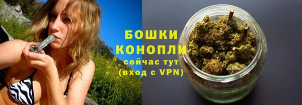 Альфа ПВП Бородино