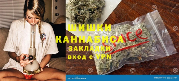 Альфа ПВП Бородино