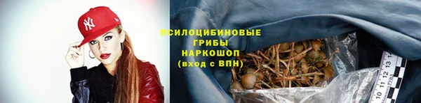 Альфа ПВП Бородино
