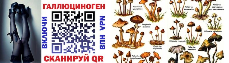 Псилоцибиновые грибы MAGIC MUSHROOMS купить Камызяк